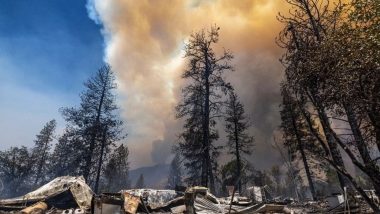 Oak Wildfire: California Governor Gavin Newsom Declares State of Emergency Over Brush Fire Near Yosemite National Park