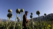 World News | Afghanistan, Pakistan Emerge as Lethal Platforms for Narco-terrorism