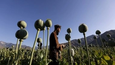 World News | Afghanistan, Pakistan Emerge as Lethal Platforms for Narco-terrorism