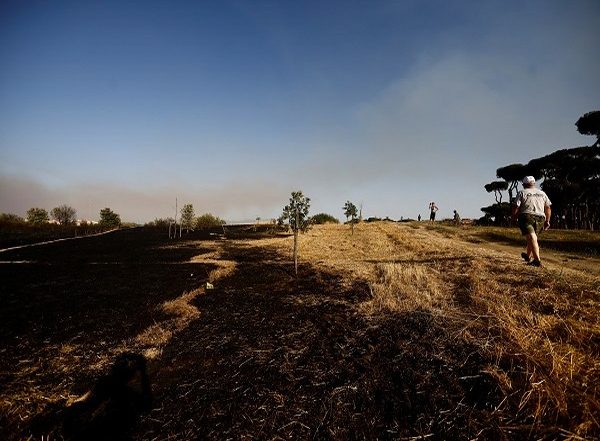 World News | Heatwave in Spain Kills 679 People in a Week