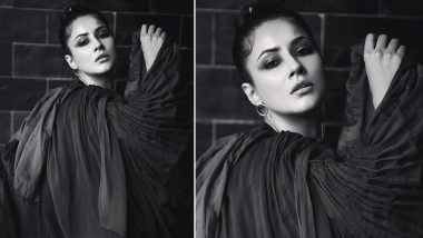 Shehnaaz Gill Will Take You Breath Away With Her Monochrome Still on Instagram!
