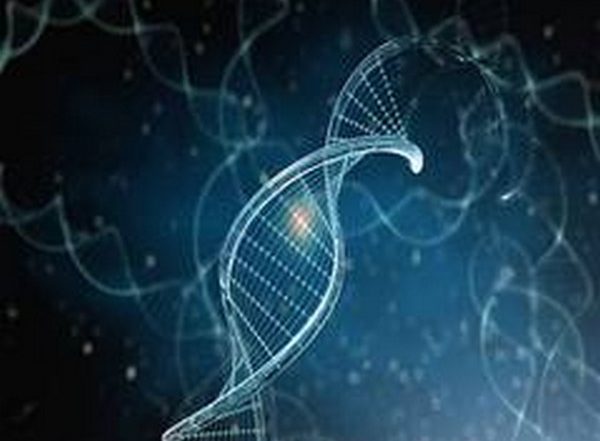 Science News | 'Junk' DNA May Cause Cancer by Preventing DNA Replication, Say Scientists