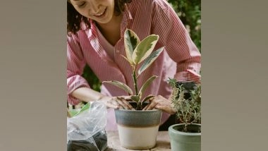 Lifestyle News | Do You Know Better Mental Can Be Achieved by Gardening?