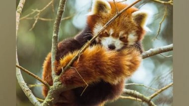 Science News | Research Provides Hope to Endangered Species