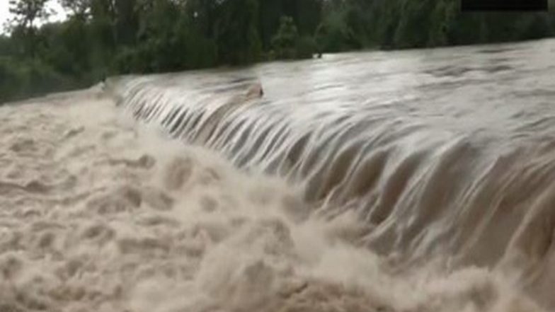 Maharashtra Rain Forecast: IMD Issues Red Alert for Palghar, Major Rivers Flowing Above Danger Mark