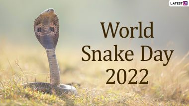 World Snake Day 2022: Watch Viral Videos of the Slithering Reptile That Will Creep You Out!
