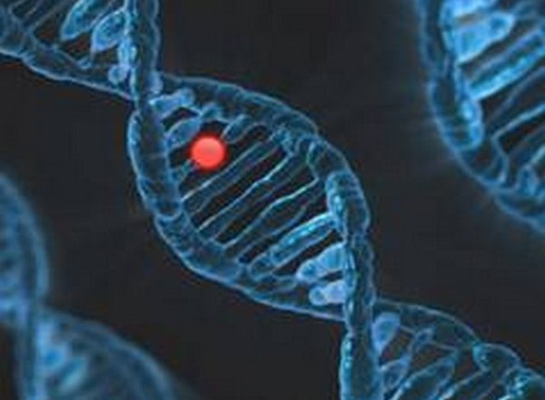 Science News | DNA Methylation in Bacteria Regulates Virulence, Reproduction, and Gene Expression: Study