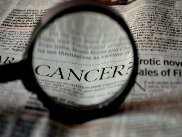 Noticias científicas |  Investigadores analizan estructura de anticuerpos que podría ser clave para tratamientos contra el cáncer más efectivos