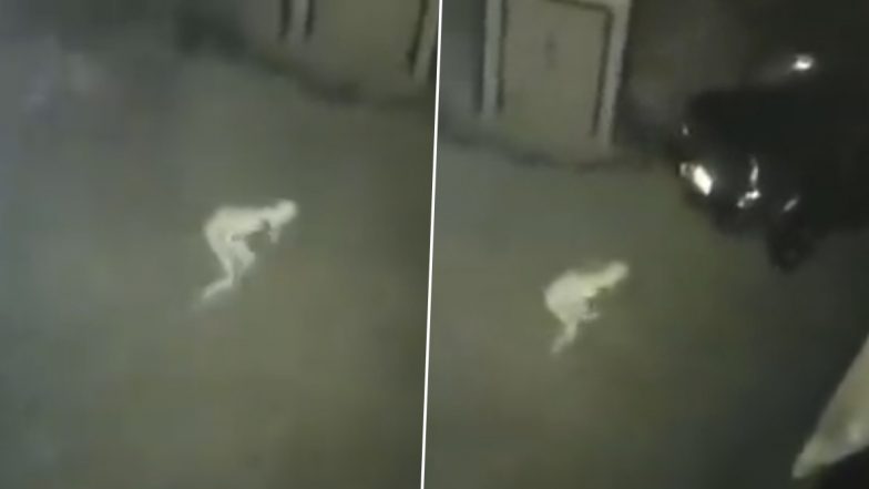 Actual Ghost Caught on Digital camera? Mysterious Pale Lanky Determine In This Creepy Viral Video Leaves Paranormal Lovers Puzzled