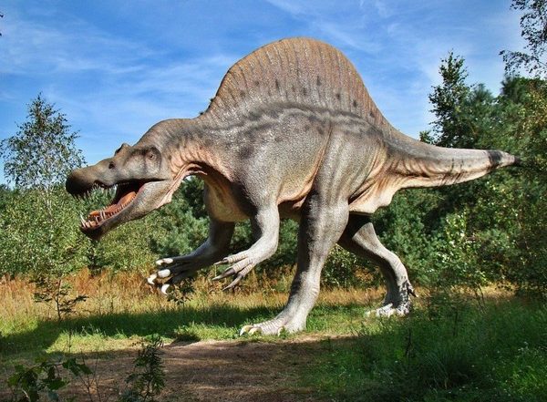 Science News | Study: Dinosaurs Takes over Amid Ice Not Warmth