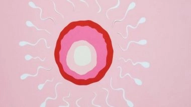 Science News | Harmful Mutations Before Embryo Implantation Can Be Detected by Sperm Screening: Research
