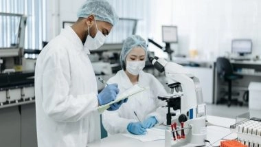 Science News | Study: Working Memory is Reliant on Cross-brain Interactions