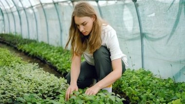 Lifestyle News | Study: Gardening Helps to Achieve Better Mental Health Q
