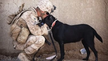 Health News | Researchers Investigate Relation Between Service Dogs and Soldiers with PTSD Symptoms