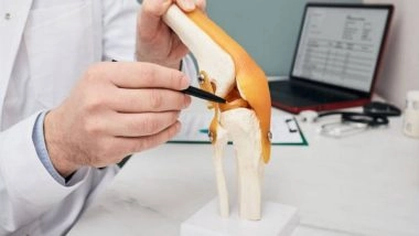 Science News | Study: Biohybrid Material Performs Like Cartilage