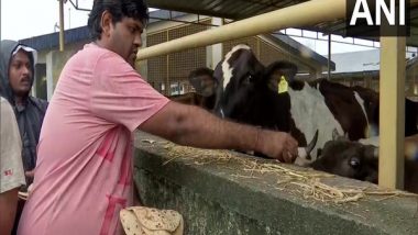 Gujarat Floods: Several Animals, Birds Rescued from Navsari District As Rivers Continue to Overflow