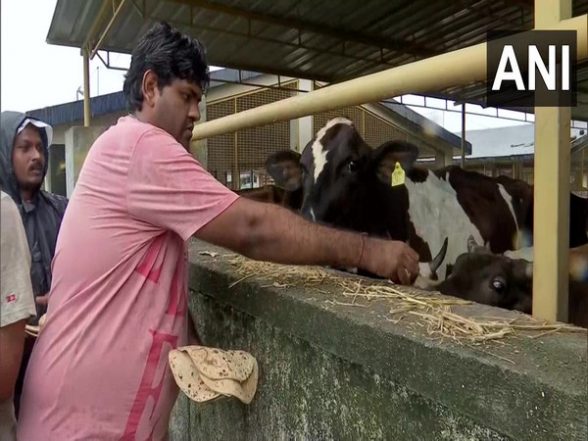 India News | Gujarat Floods: Several Animals, Birds Rescued from Navsari District - Vimarsana News