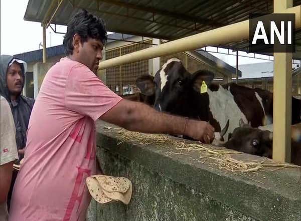 Gujarat Floods: Several Animals, Birds Rescued from Navsari District As Rivers Continue to Overflow