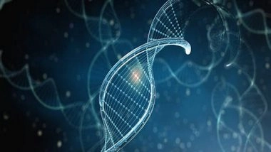 Health News | Scientists Create Synthetic DNA in Order to Examine 'architect' Genes