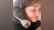 Entertainment News | Disha Cuddles Up with Her Pet, Watch Adorable Pictures