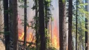 World News | US Famous National Park Partially Closed Due to Wildfire