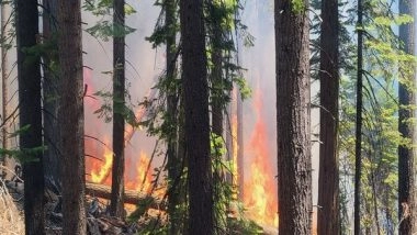 World News | US Famous National Park Partially Closed Due to Wildfire