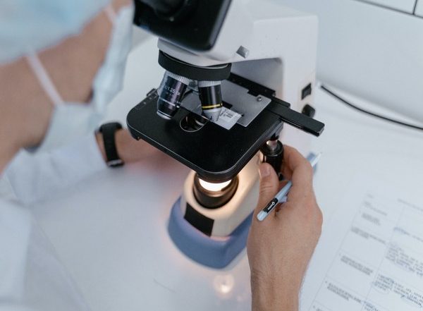 Science News | Engineers Create New Tools Enabling More Individualised Cell Therapies