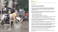 Swiggy-Wide Horse-Hunt! Food Delivery Company Launches Search and Sets Bounty To Find The Viral Delivery Boy Riding Horse in Mumbai Rains