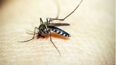 India News | ICMR's Institute Gives Special Diet, 'unique Feeder Device' to Mosquitos to Keep Them Healthy. Here's Why