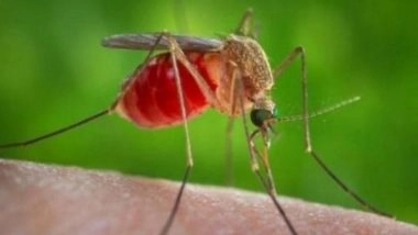 India News | Assam: Japanese Encephalitis Claims 23 Lives Since April
