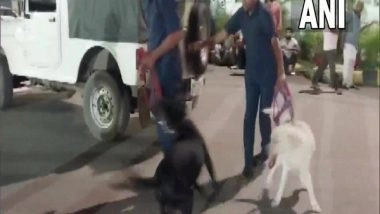 India News | Delhi-bound IndiGo Flight Grounded at Patna Airport After Bomb Threat, Passenger Detained