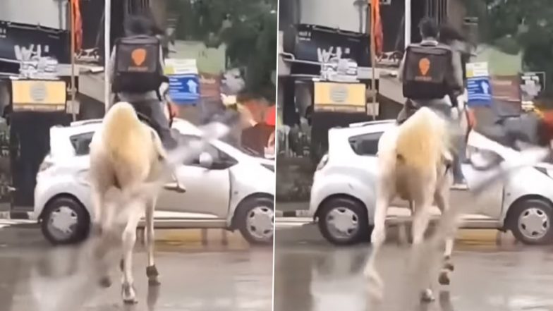 Video of Swiggy Delivery Agent Riding Horse to Drop Off Food Amid Heavy Rainfall in Mumbai Goes Viral; Internet is Taken Aback!