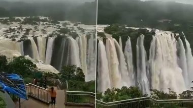 Breathtaking View of Jog Falls in Karnataka Often Mistaken as 'Niagara Falls' Wins Internet! Watch Viral Video of The Waterfall