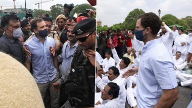 National Herald Case: Rahul Gandhi Among Congress MPs Detained at Vijay Chowk During Protest Over Sonia Gandhi’s ED Questioning