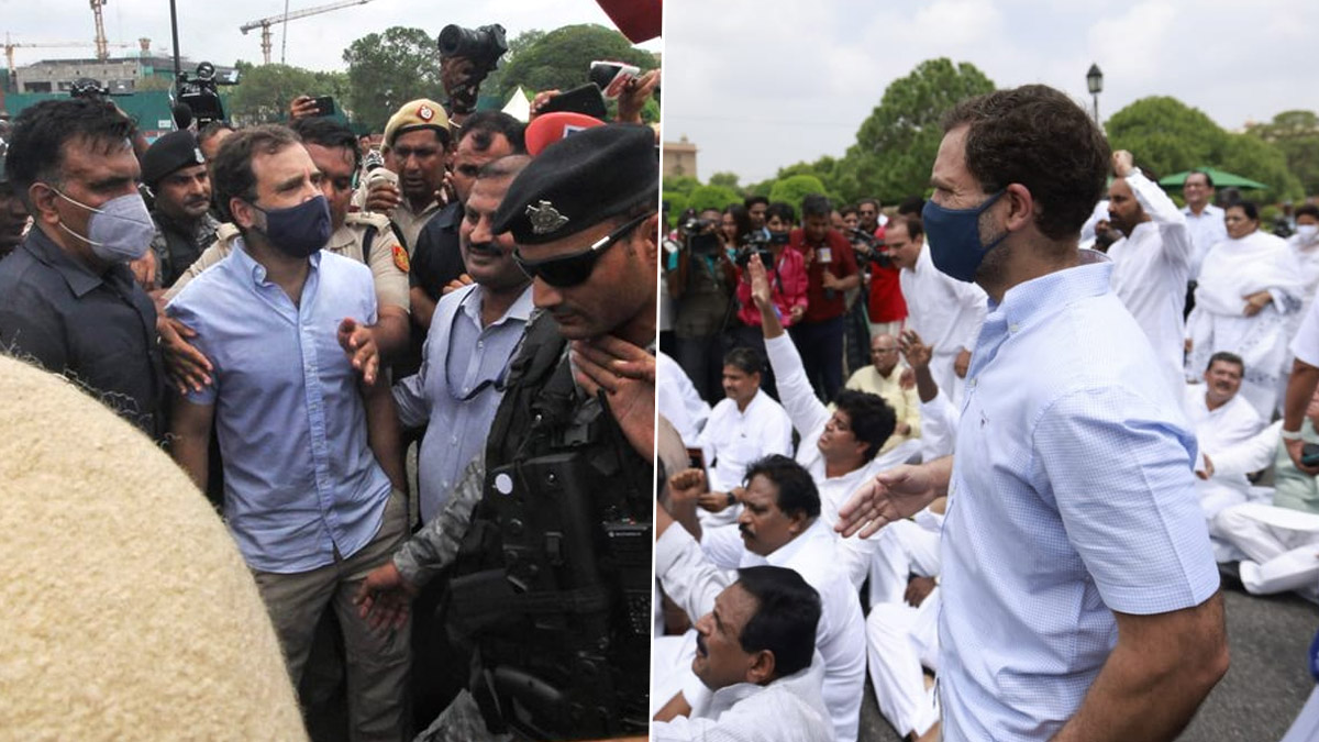 National Herald Case: Rahul Gandhi Among Congress MPs Detained at Vijay  Chowk During Protest Over Sonia Gandhi's ED Questioning | 🇮🇳 LatestLY