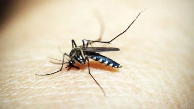 Japanese Encephalitis Spread in India: Mosquito-Borne Disease Claims 44 Lives in Assam So Far