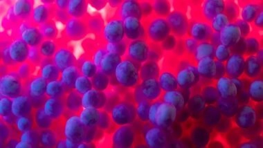 Health News | Study Finds Usage of Microbes Linked to Making Supercharged Rocket Fuel