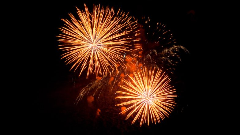 Eid al-Adha 2022 Fireworks in UAE: Where To Watch Fireworks in Dubai and Abu Dhabi? All About the Popular Illuminations That Will Light Up the Sky on Bakrid!