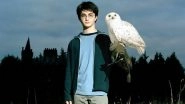 Harry Potter Birthday: Here&rsquo;s How Potterheads Wished the Boy Who Lived for His 42nd Birthday! (View Pics and Videos)