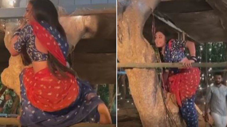 Imlie Actress Sumbul Touqeer Khan Takes Up the Challenge of Climbing a Tree Wearing a Saree! (Watch Video)