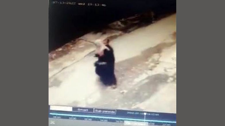 Pakistan: Man Harasses Burqa-clad Woman in Islamabad, Gropes Her from Behind in Daylight