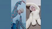 WINNER&rsquo;s Cushion Dolls Go Viral After Members Are Seen Playing With Them on Stage! (View Pics)