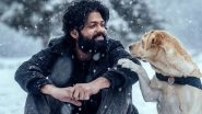 777 Charlie: Makers of Rakshit Shetty-Starrer Contribute Five per Cent of the Film&rsquo;s Profit to NGOs Working for Animals