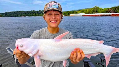 WOW! Rare All-White Catfish Caught by 15-Year-Old Boy in Tennessee River, Netizens Are Surprised! (See Viral Pic)