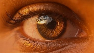 Science News | Scientists Develop Unique Thermogel to Help Prevent Scarring of Retina