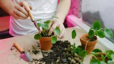 Science News | Researchers Discovers Plant Immunity-boosting Molecules