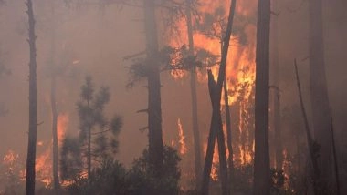 World News | California Made 25 Arson Arrests in June, as Longer Fire Season Warned