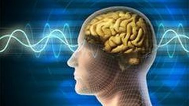 Science News | Research Reveals Working Memory Depends on Cross-brain Interactions