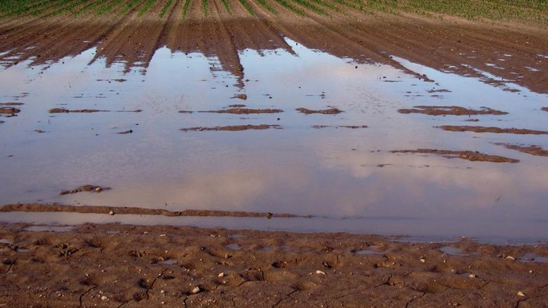 Villagers Carry Pregnant Woman to Hospital on Shoulder in Gujarat