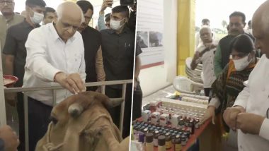 Lumpy Skin Disease Outbreak: CM Bhupendra Patel Reviews Situation in Jamnagar